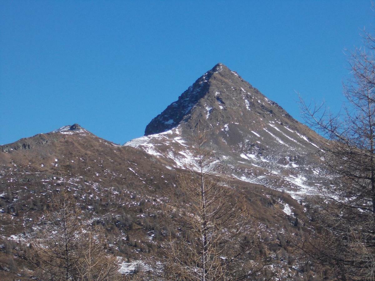 Balcone Sulle Dolomiti Appartement Comèlico Superiore Buitenkant foto