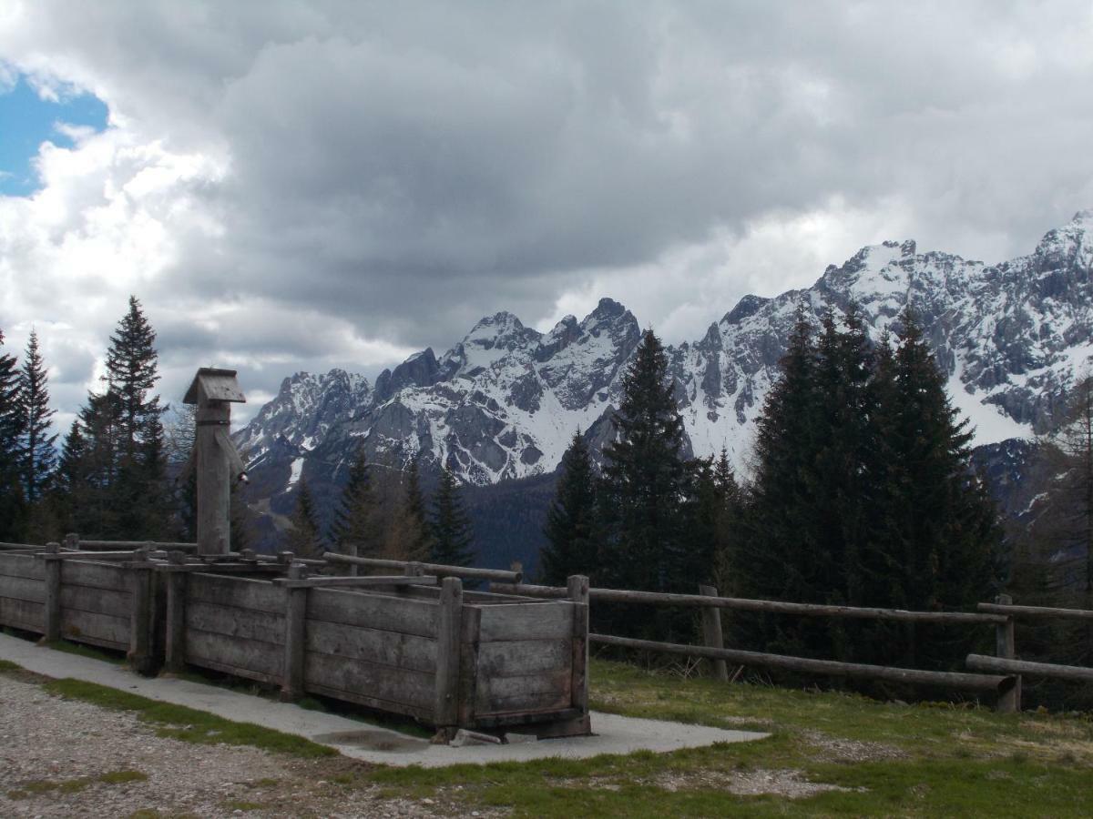 Balcone Sulle Dolomiti Appartement Comèlico Superiore Buitenkant foto