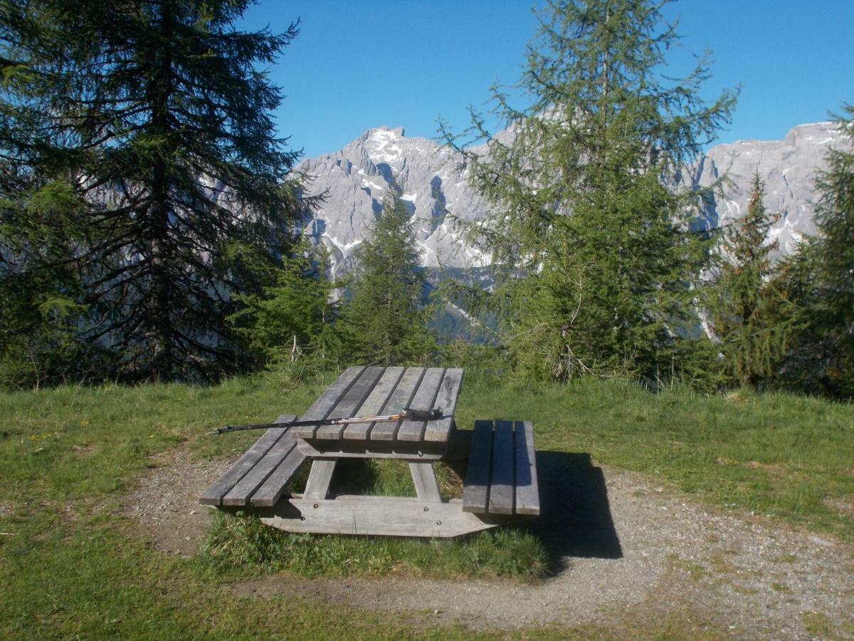 Balcone Sulle Dolomiti Appartement Comèlico Superiore Buitenkant foto